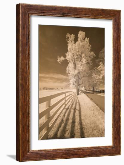 Fence, Shadows, & Trees, Kentucky 08-Monte Nagler-Framed Photographic Print