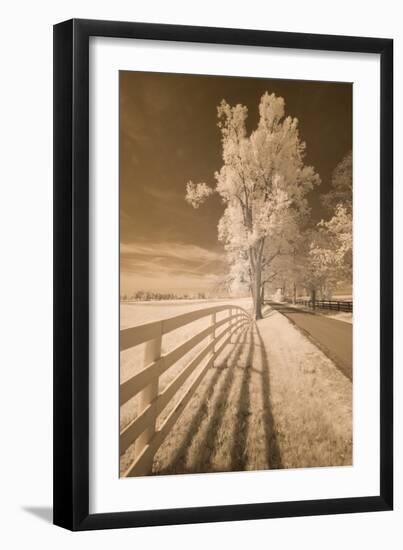 Fence, Shadows, & Trees, Kentucky 08-Monte Nagler-Framed Photographic Print