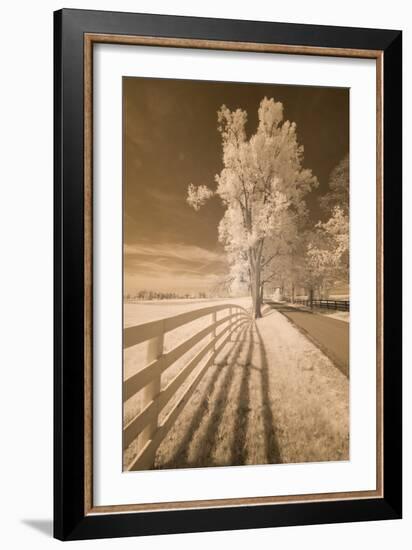 Fence, Shadows, & Trees, Kentucky 08-Monte Nagler-Framed Photographic Print