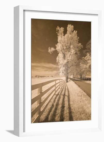 Fence, Shadows, & Trees, Kentucky 08-Monte Nagler-Framed Photographic Print