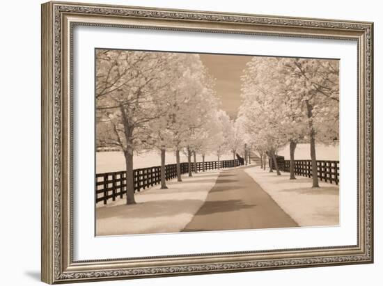 Fence & Trees #2, Kentucky ‘08-Monte Nagler-Framed Photographic Print