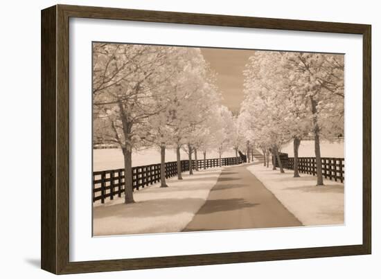 Fence & Trees #2, Kentucky ‘08-Monte Nagler-Framed Photographic Print