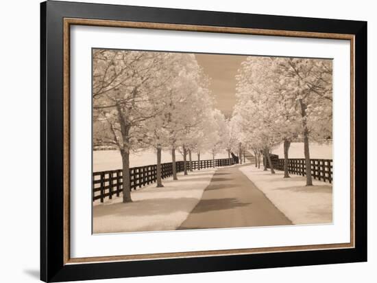 Fence & Trees #2, Kentucky ‘08-Monte Nagler-Framed Photographic Print