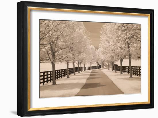 Fence & Trees #2, Kentucky ‘08-Monte Nagler-Framed Photographic Print