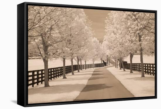 Fence & Trees #2, Kentucky ‘08-Monte Nagler-Framed Stretched Canvas