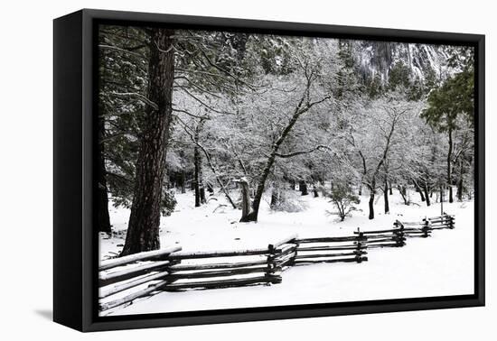 Fence, Trees and Snow-Doug Meek-Framed Premier Image Canvas