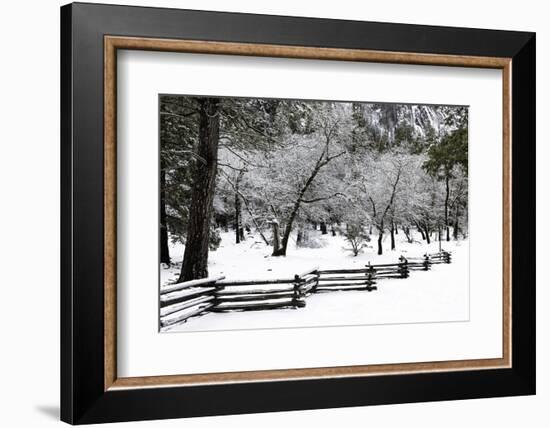 Fence, Trees and Snow-Doug Meek-Framed Photographic Print