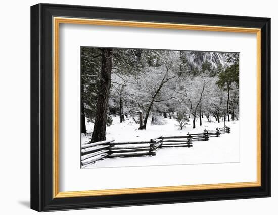 Fence, Trees and Snow-Doug Meek-Framed Photographic Print