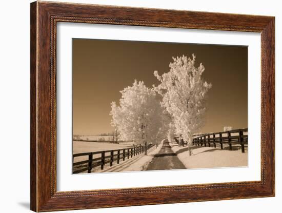 Fence & Trees, Kentucky 08-Monte Nagler-Framed Photographic Print