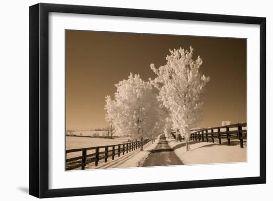 Fence & Trees, Kentucky 08-Monte Nagler-Framed Photographic Print