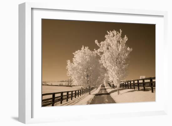 Fence & Trees, Kentucky 08-Monte Nagler-Framed Photographic Print