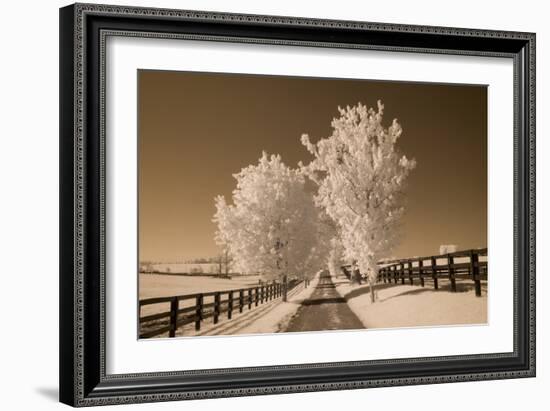 Fence & Trees, Kentucky 08-Monte Nagler-Framed Photographic Print