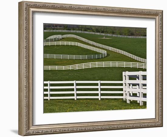 Fence Winding Across Calumet Horse Farm, Lexington, Kentucky, USA-Adam Jones-Framed Photographic Print