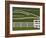 Fence Winding Across Calumet Horse Farm, Lexington, Kentucky, USA-Adam Jones-Framed Photographic Print