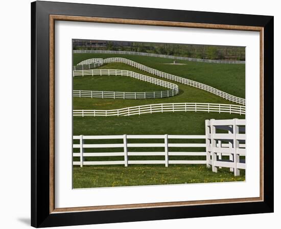 Fence Winding Across Calumet Horse Farm, Lexington, Kentucky, USA-Adam Jones-Framed Photographic Print