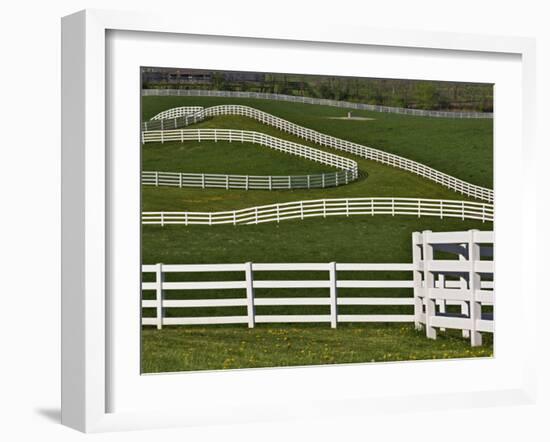 Fence Winding Across Calumet Horse Farm, Lexington, Kentucky, USA-Adam Jones-Framed Photographic Print