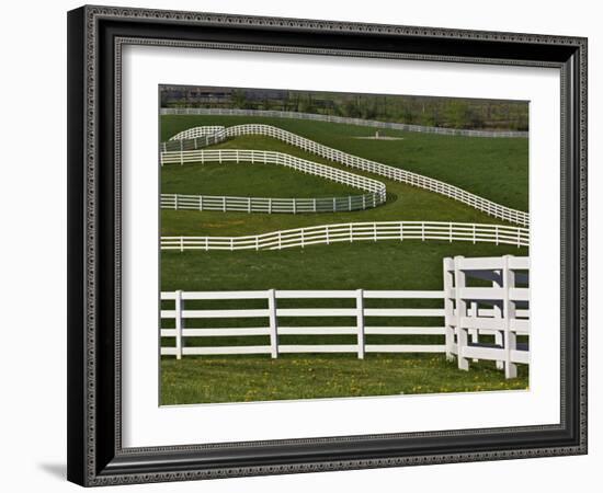 Fence Winding Across Calumet Horse Farm, Lexington, Kentucky, USA-Adam Jones-Framed Photographic Print