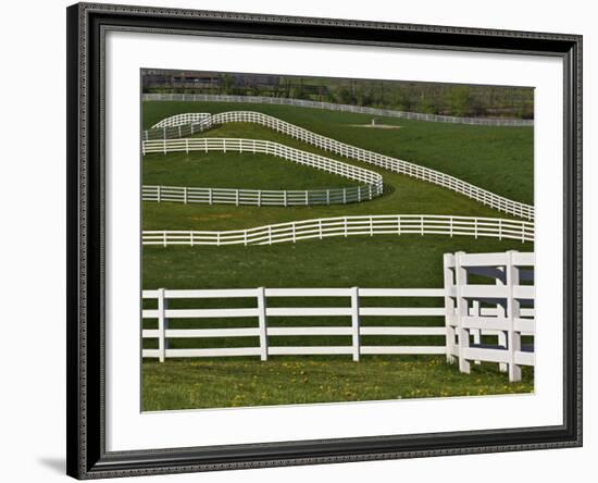 Fence Winding Across Calumet Horse Farm, Lexington, Kentucky, USA-Adam Jones-Framed Photographic Print