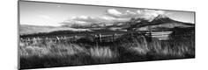 Photographic Print