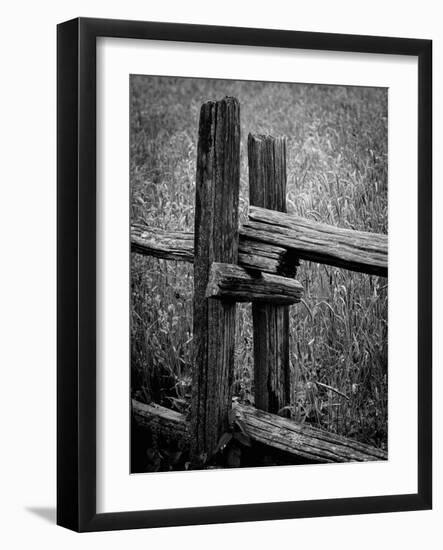 Fenced Field-Laura Warren-Framed Giclee Print