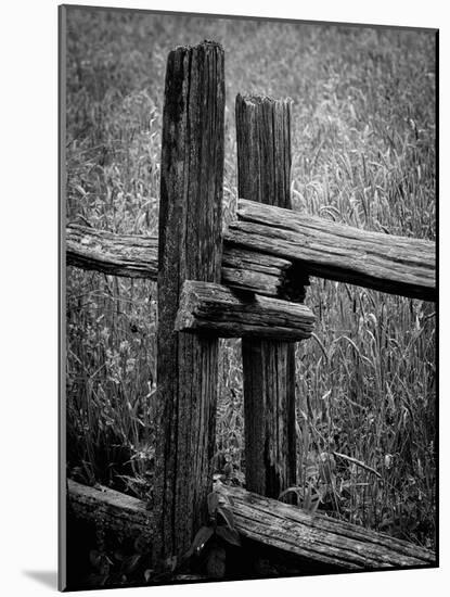 Fenced Field-Laura Warren-Mounted Giclee Print