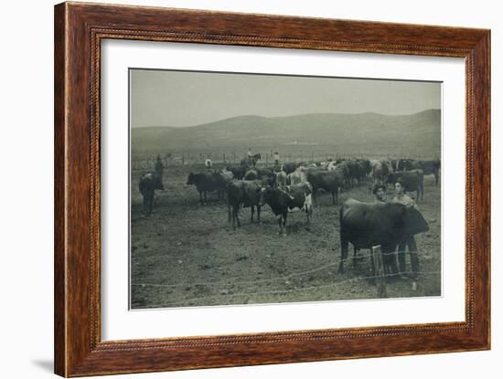 Fenced In Cattlemen-D. Marsh-Framed Art Print