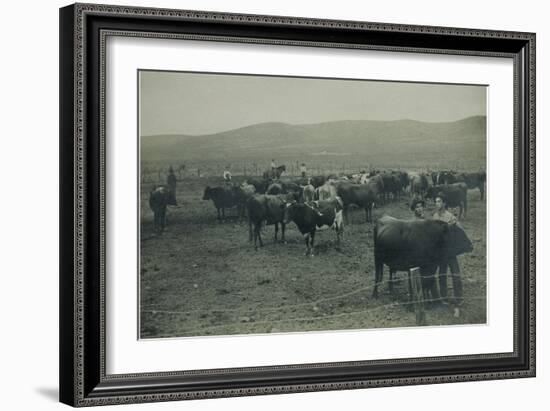 Fenced In Cattlemen-D. Marsh-Framed Art Print