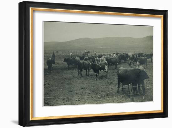 Fenced In Cattlemen-D. Marsh-Framed Art Print