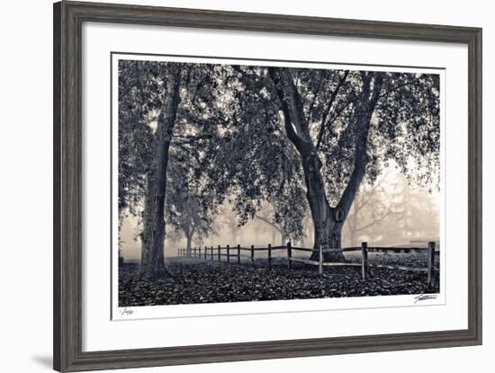 Fenced In Fog-Donald Satterlee-Framed Giclee Print