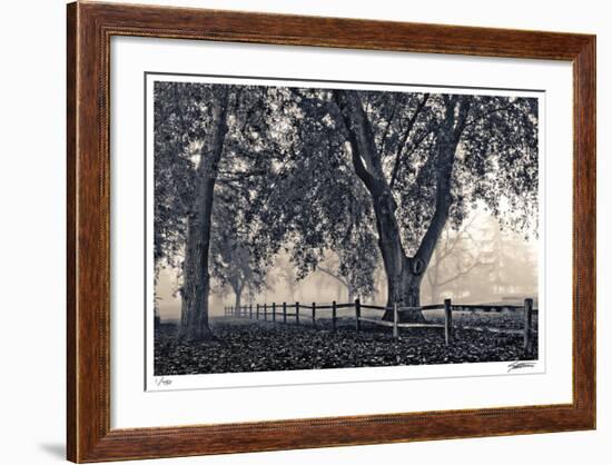 Fenced In Fog-Donald Satterlee-Framed Giclee Print