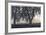 Fenced In Fog-Donald Satterlee-Framed Giclee Print