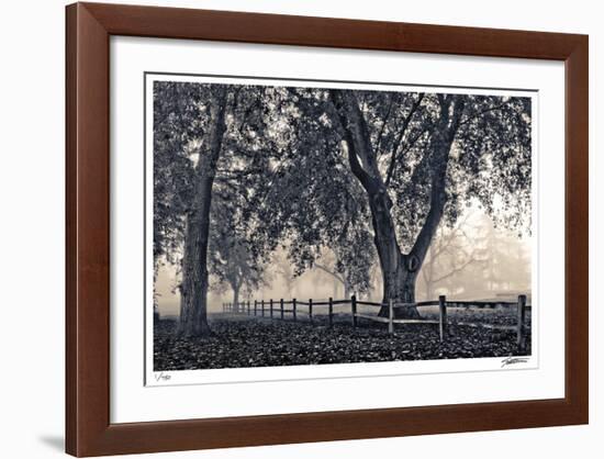 Fenced In Fog-Donald Satterlee-Framed Giclee Print