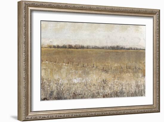 Fenced in I-Tim O'toole-Framed Art Print