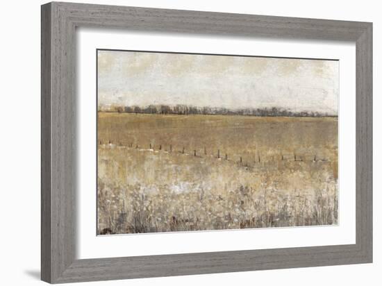 Fenced in I-Tim O'toole-Framed Art Print