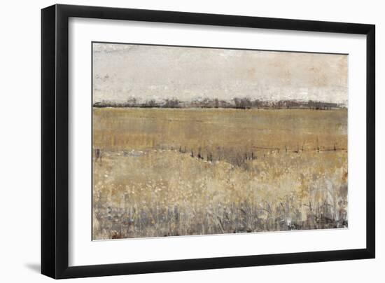 Fenced in II-Tim O'toole-Framed Art Print