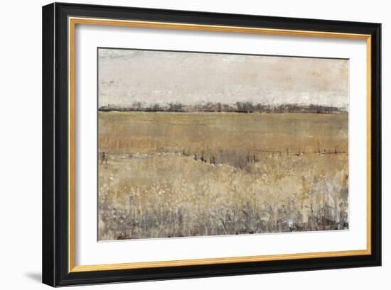 Fenced in II-Tim O'toole-Framed Art Print