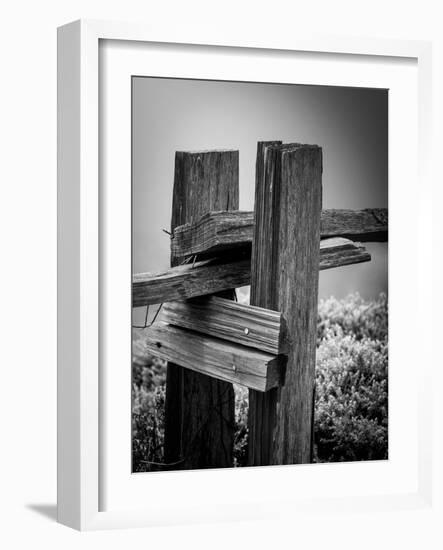 Fenced In-Laura Warren-Framed Giclee Print