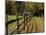 Fenceline, East Arlington, Vermont, USA-Joe Restuccia III-Mounted Photographic Print