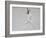 Fencer-Lincoln Seligman-Framed Giclee Print