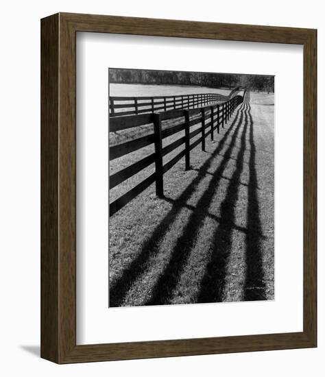 Fences and Shadows, Florida-Monte Nagler-Framed Art Print