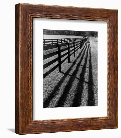 Fences and Shadows, Florida-Monte Nagler-Framed Art Print