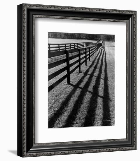 Fences and Shadows, Florida-Monte Nagler-Framed Art Print