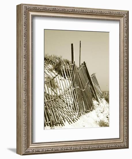 Fences in the Sand I-Noah Bay-Framed Art Print