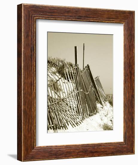 Fences in the Sand I-Noah Bay-Framed Art Print