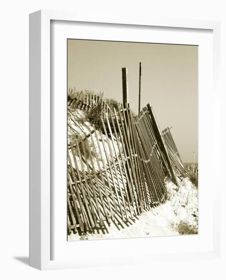 Fences in the Sand I-Noah Bay-Framed Art Print