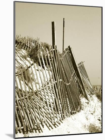 Fences in the Sand I-Noah Bay-Mounted Art Print