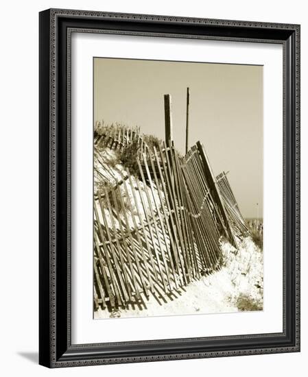 Fences in the Sand I-Noah Bay-Framed Art Print