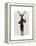 Fencing Deer Full-Fab Funky-Framed Stretched Canvas