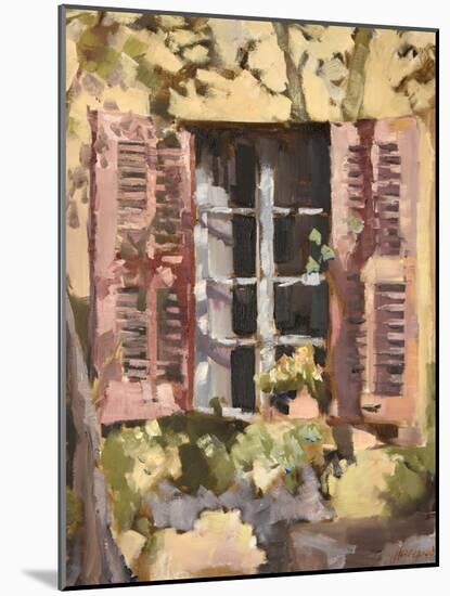 Fenestration I-Jeri Ireland-Mounted Art Print