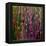 Feng Shui Cane Hot Pink-Herb Dickinson-Framed Premier Image Canvas